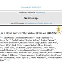 TVB on EBRAINS - Screenshot Paper