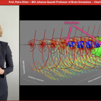 Falling Walls x Berlin Science Week - screenshot Petra