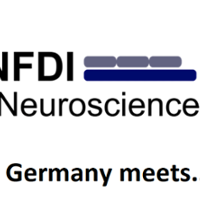EBRAINS NFDI-Neuro - Webinar banner