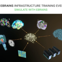 EBRAINS ITE Nov2022 - Banner